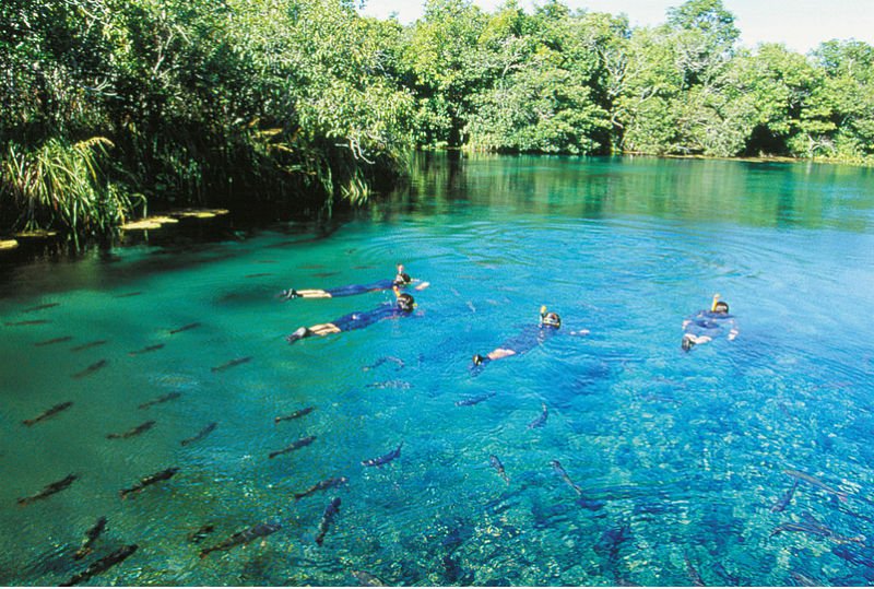 Bonito es hermoso - Viajar a Brasil - Turismo