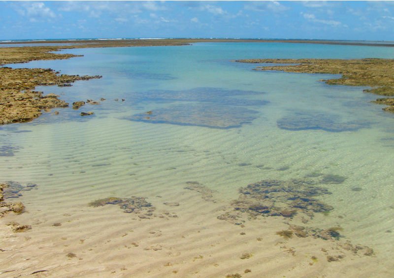 Praia do Patacho Bajante - Viajar a Brasil - Turismo en Brasil