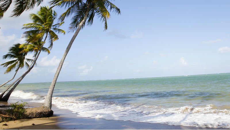 Praia do Patacho - Viajar a Brasil - Turismo en Brasil